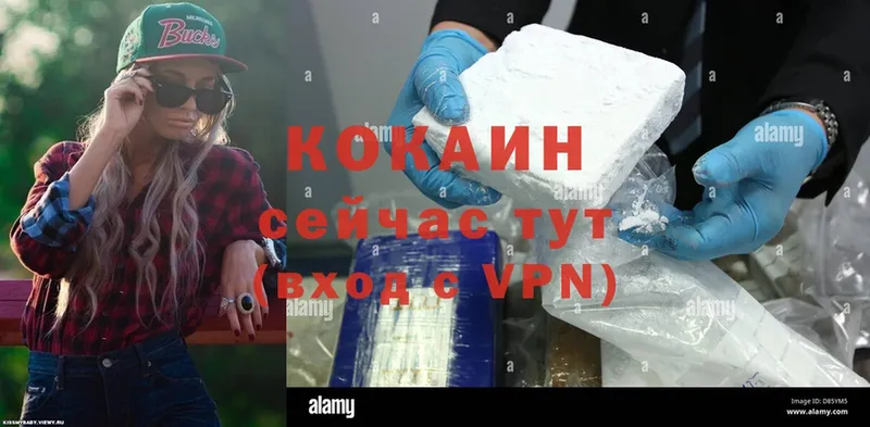 продажа наркотиков  KRAKEN как войти  Cocaine VHQ  Кузнецк 