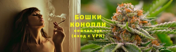 PSILOCYBIN Верхний Тагил