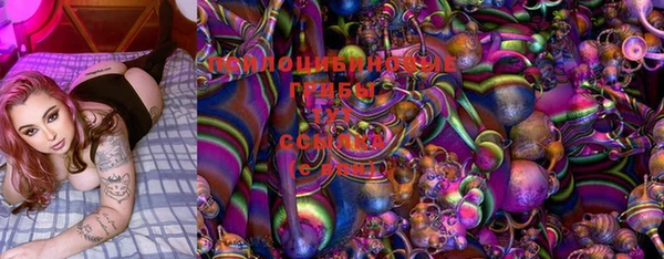 PSILOCYBIN Верхний Тагил